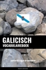Afbeelding van Galicisch vocabulaireboek