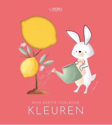 Afbeeldingen van Kleuren - Mijn eerste voelboek