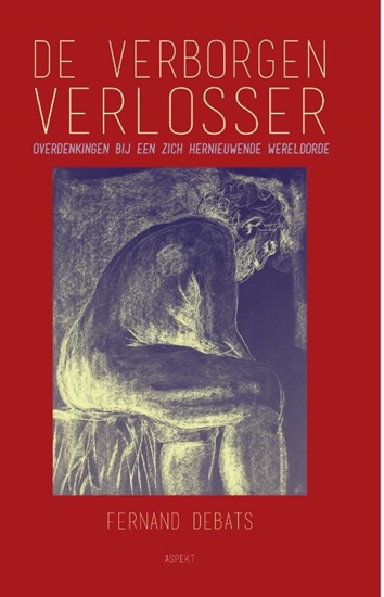 Afbeelding van De Verborgen Verlosser