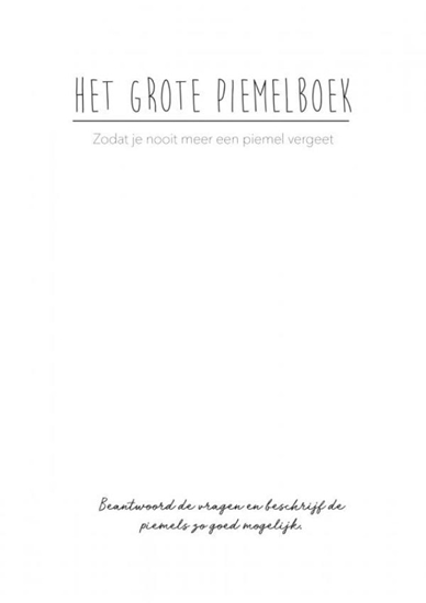 Afbeelding van Het Grote Piemelboek