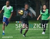 Afbeelding van Spelinzicht