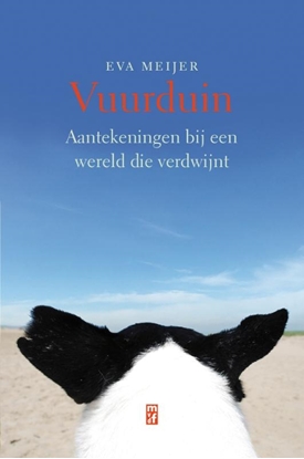 Afbeeldingen van Vuurduin