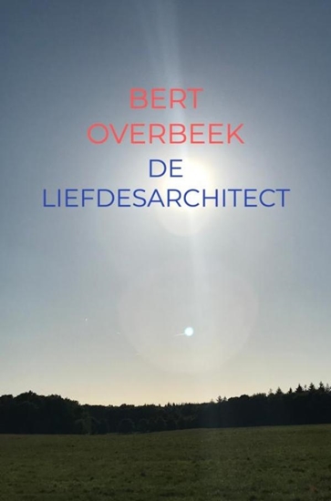 Afbeelding van De Liefdesarchitect