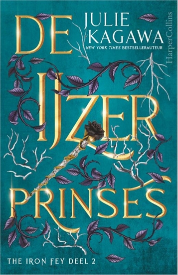 Afbeelding van The Iron Fey De IJzerprinses