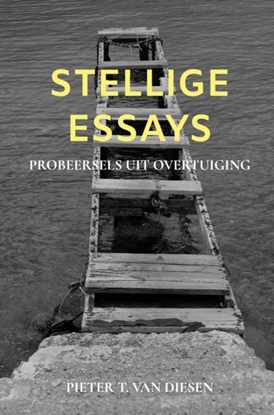 Afbeeldingen van Stellige essays