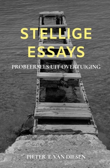 Afbeelding van Stellige essays