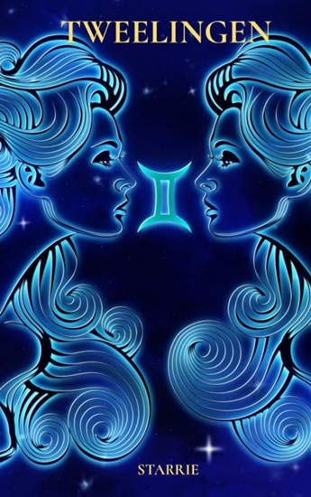 Afbeelding van Tweelingen