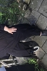 Afbeelding van achter dit verhaal