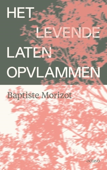 Afbeelding van Het levende laten opvlammen