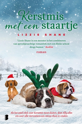Afbeeldingen van Pine Hollow Kerstmis met een staartje
