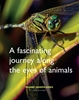 Afbeelding van A fascinating journey along the eyes of animals