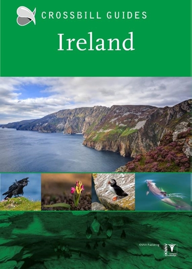 Afbeelding van Crossbill guides Ireland