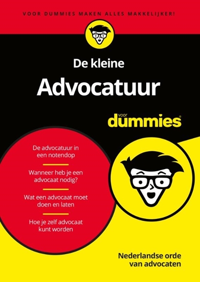 Afbeelding van Voor Dummies De kleine Advocatuur voor Dummies