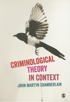 Afbeeldingen van Criminological Theory in Context