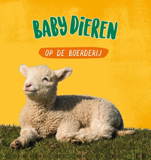 Afbeelding van Babydieren Babydieren op de boerderij