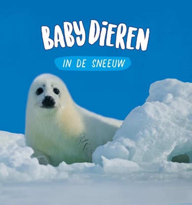 Afbeeldingen van Babydieren Babydieren in de sneeuw