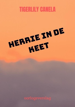 Afbeeldingen van Herrie in de keet