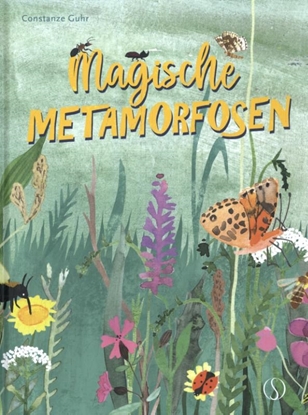 Afbeeldingen van Magische Metamorfosen