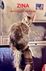 Afbeelding van Zina