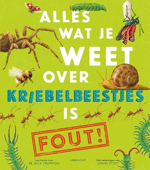 Afbeelding van Alles wat je weet over kriebelbeestjes is FOUT!