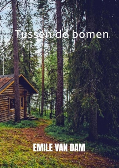Afbeelding van Tussen de bomen