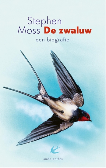 Afbeelding van De zwaluw
