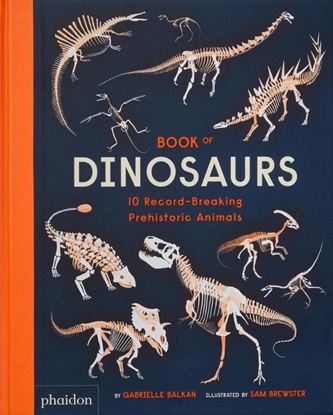 Afbeeldingen van Book of Dinosaurs