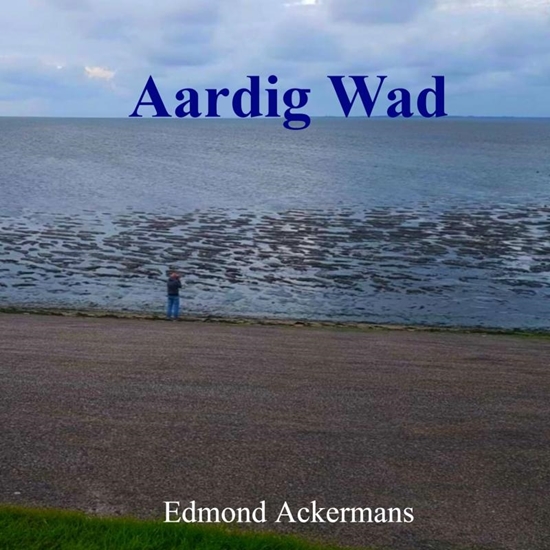 Afbeelding van Aardig Wad