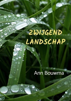 Afbeeldingen van Zwijgend landschap