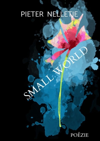 Afbeelding van SMALL WORLD
