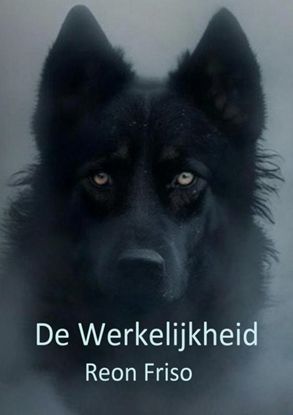 Afbeeldingen van De Werkelijkheid