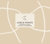 Afbeelding van Check Points