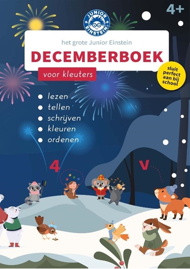Afbeelding van Het Grote Junior Einstein Decemberboek