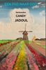Afbeelding van Een pad naar God