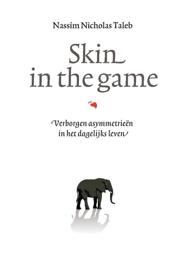 Afbeelding van Incerto Skin in the game