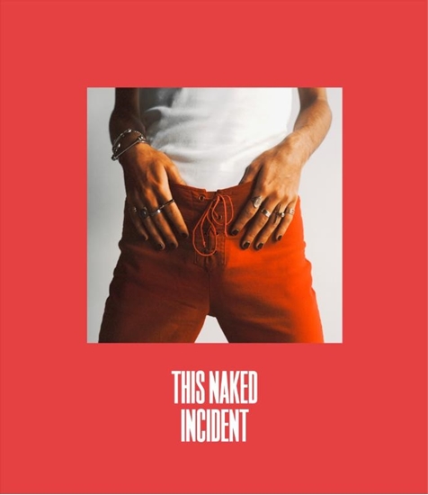 Afbeelding van This Naked Incident