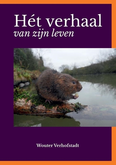 Afbeelding van Hét verhaal van zijn leven