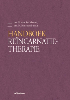 Afbeeldingen van Handboek Reïncarnatietherapie