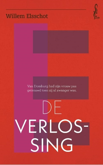 Afbeelding van Salamander De verlossing