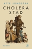 Afbeelding van Cholerastad
