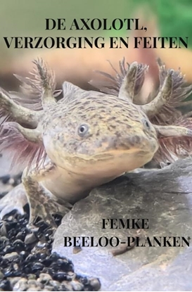 Afbeeldingen van De axolotl, verzorging en feiten