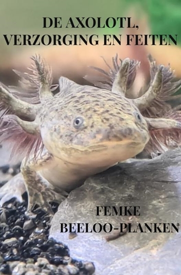 Afbeelding van De axolotl, verzorging en feiten