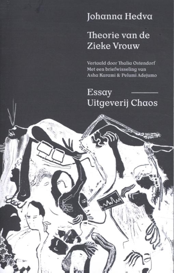 Afbeelding van Theorie van de Zieke Vrouw