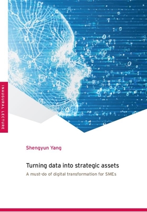 Afbeeldingen van Turning Data into Strategic Assets