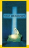 Afbeelding van Steen des aanstoots