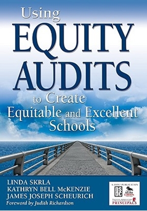 Afbeeldingen van Using Equity Audits to Create Equitable and Excellent Schools