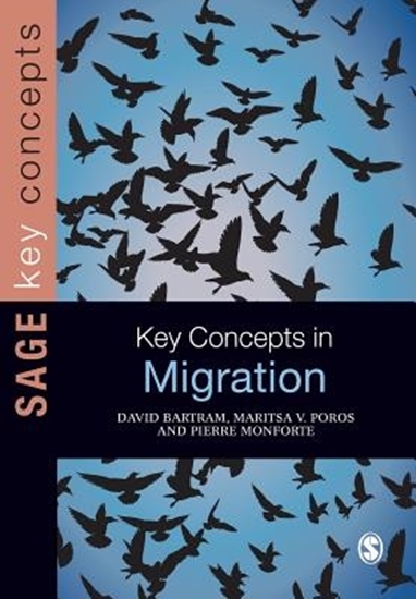 Afbeelding van Key Concepts in Migration