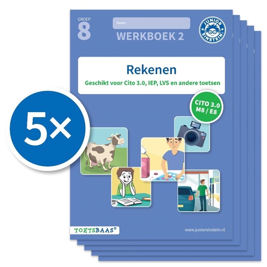 Afbeelding van Toetsbaas Rekenen werkboek 2 (Set van 5)