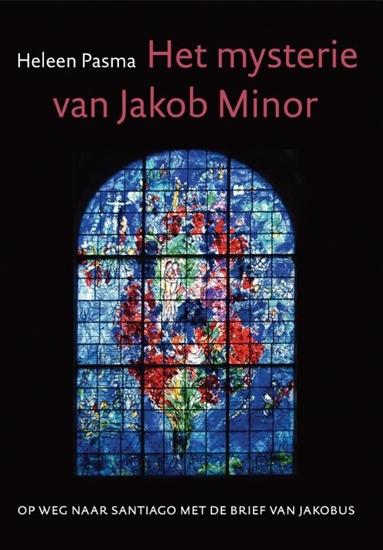 Afbeelding van Het mysterie van Jacob Minor