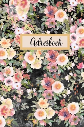 Afbeeldingen van Adresboek - Telefoonregister